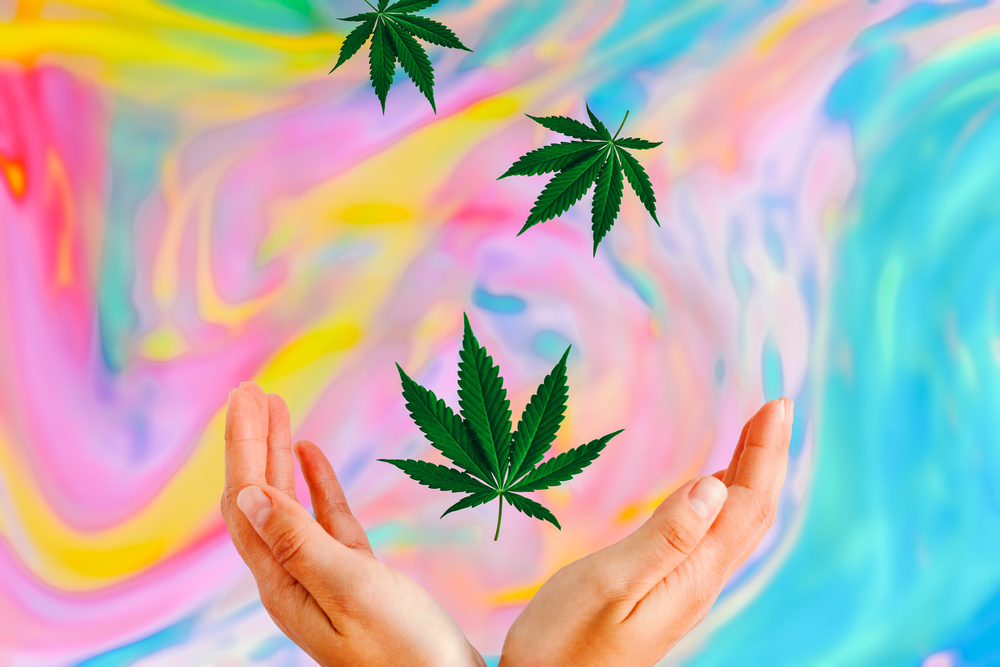 psychedelic background with pot leaves